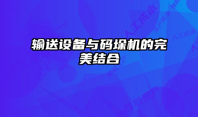 輸送設(shè)備與碼垛機(jī)的完美結(jié)合